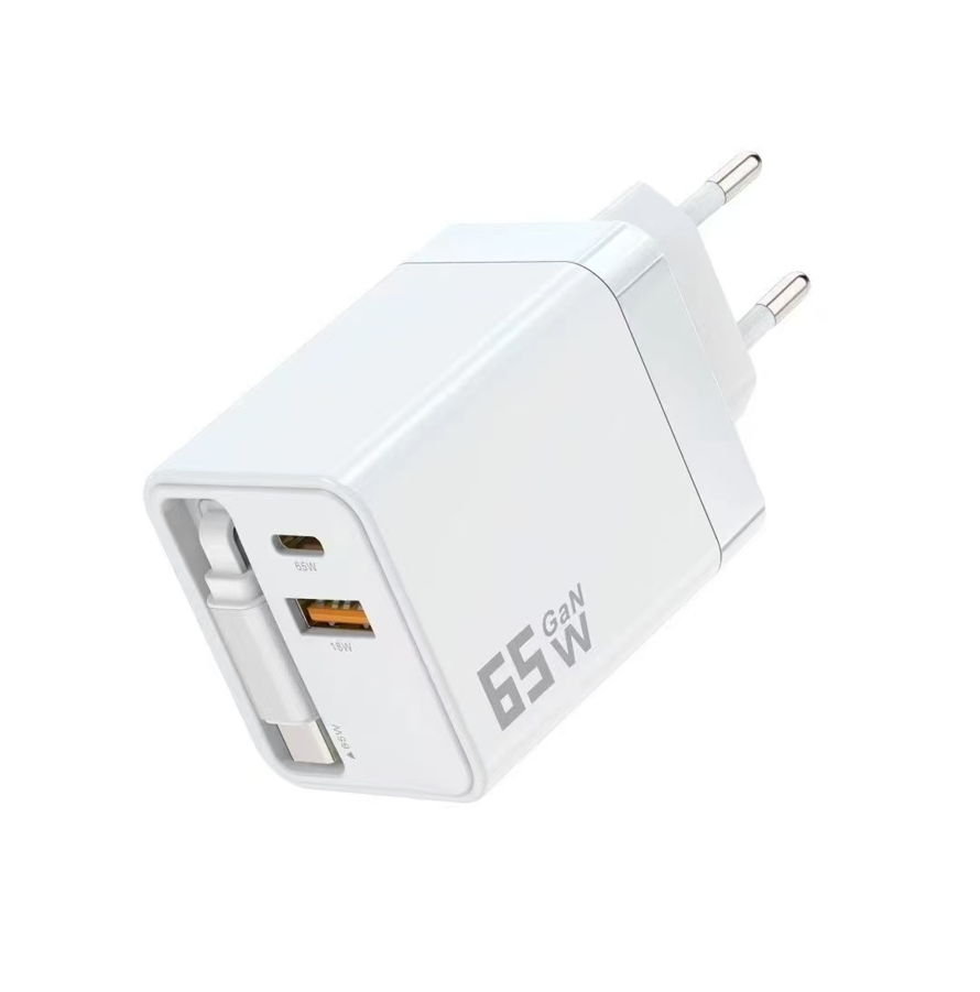 Eisenz 65W GaN Charger with Cable (USB-A & Type-C Ports) - EZ-CH001
